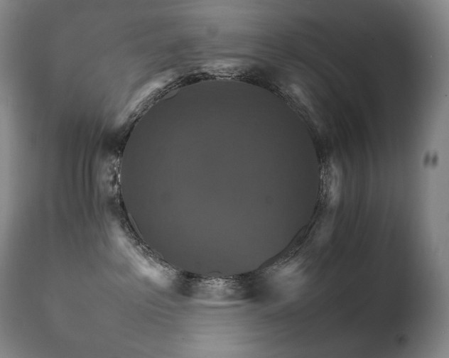 X0000111230237200907021406