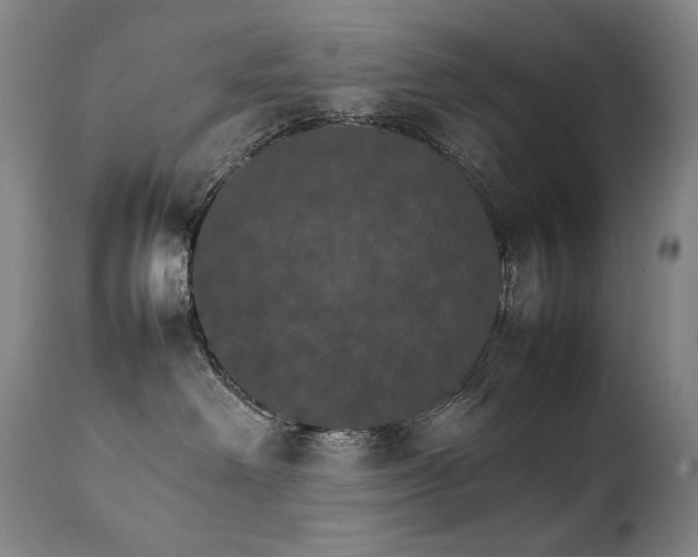 X0000111230238200907021406