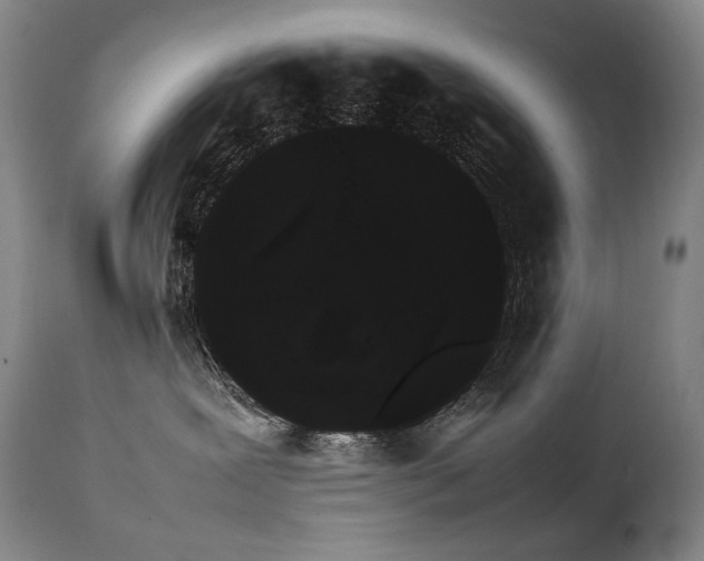 X0000111230239200907021406