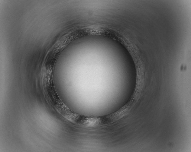 X0000111230240200907021406