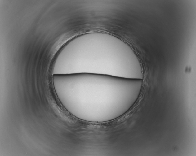 X0000111230242200907021406
