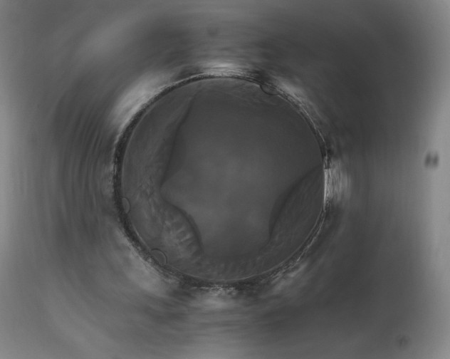 X0000111230243200907021406