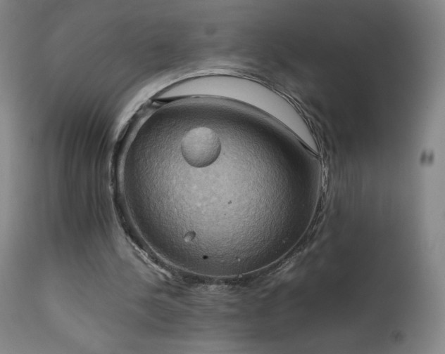 X0000111230244200907021406