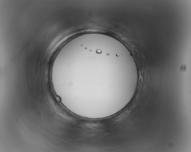 X0000111230247200907021406