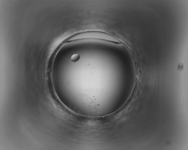 X0000111230248200907021406
