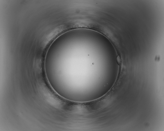 X0000111230250200907021406
