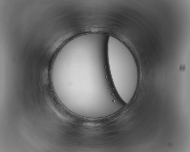 X0000111230251200907021406