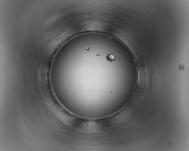 X0000111230253200907021406