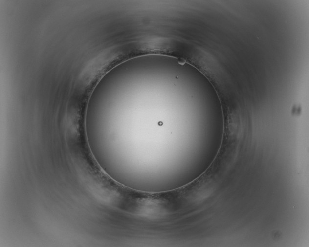 X0000111230255200907021406