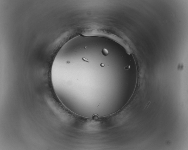 X0000111230257200907021406