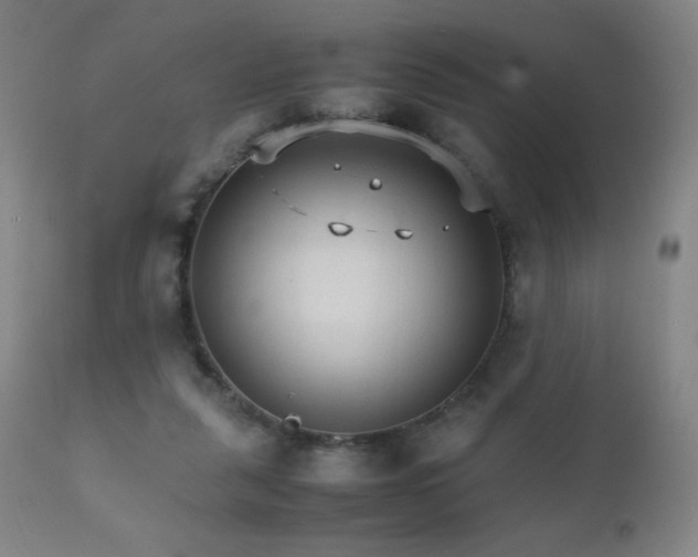 X0000111230259200907021406