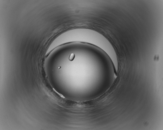 X0000111230260200907021406