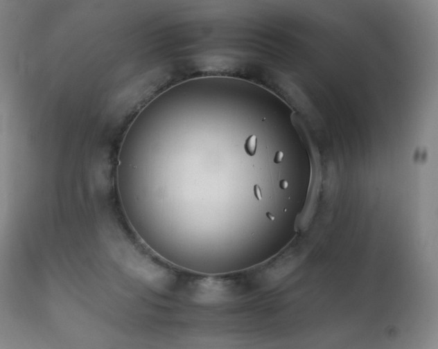 X0000111230261200907021406