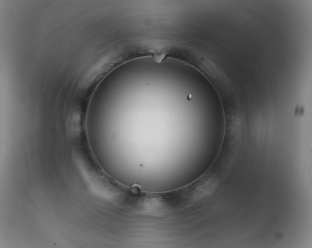 X0000111230262200907021406