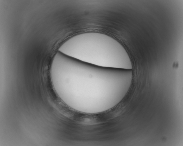 X0000111230263200907021406