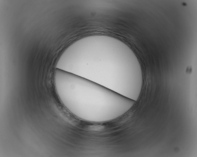 X0000111230266200907021406
