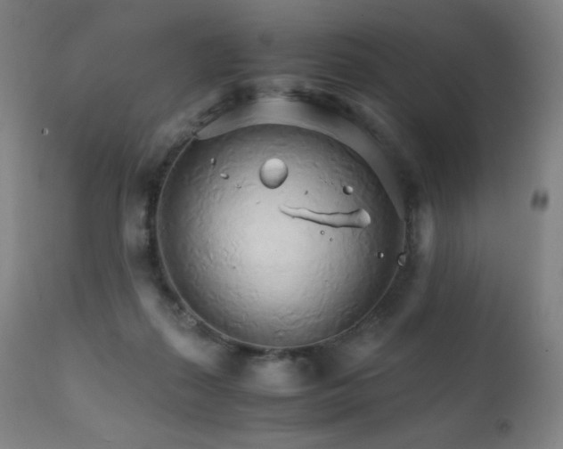 X0000111230267200907021406