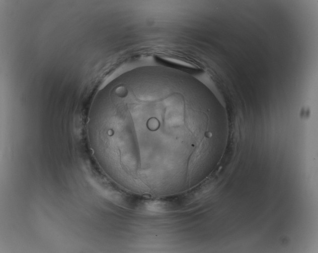 X0000111230268200907021406