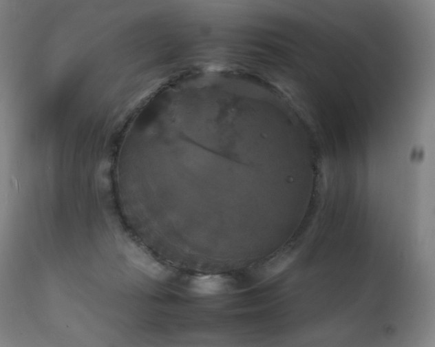 X0000111230269200907021406