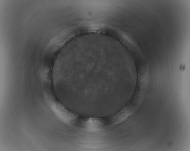 X0000111230270200907021406