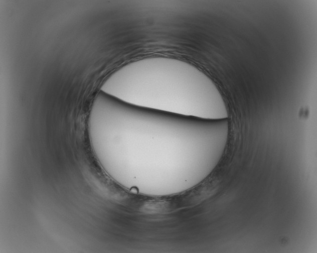 X0000111230271200907021406