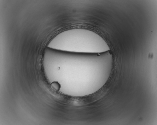 X0000111230275200907021406