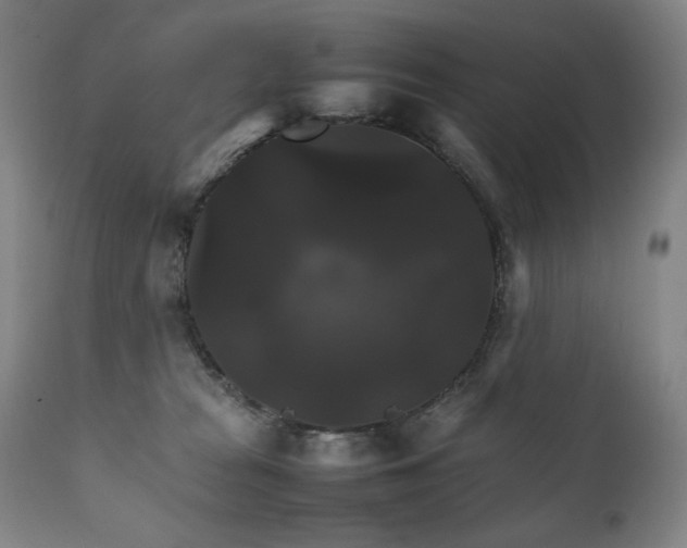 X0000111230277200907021406