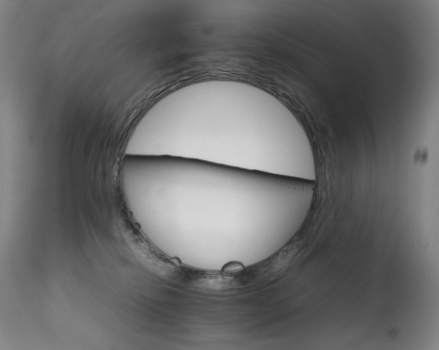 X0000111230278200907021406