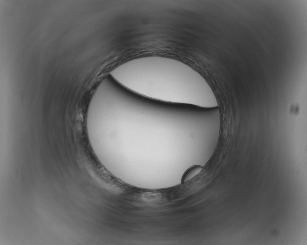 X0000111230279200907021406