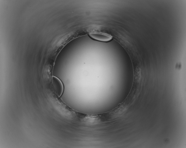 X0000111230280200907021406
