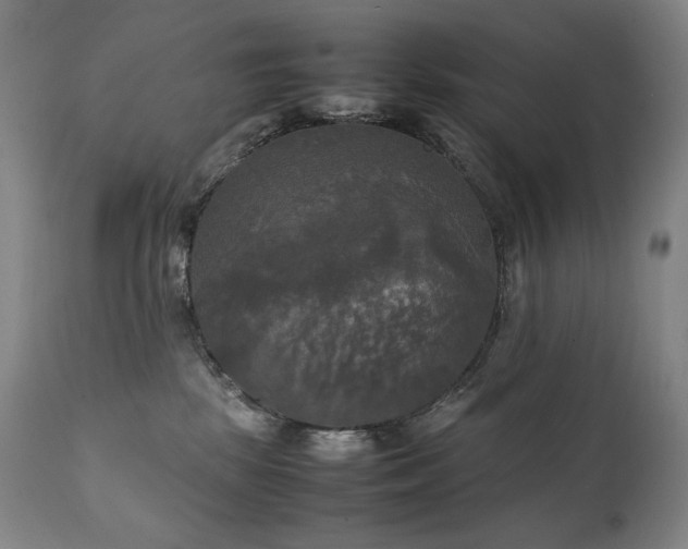 X0000111230281200907021406