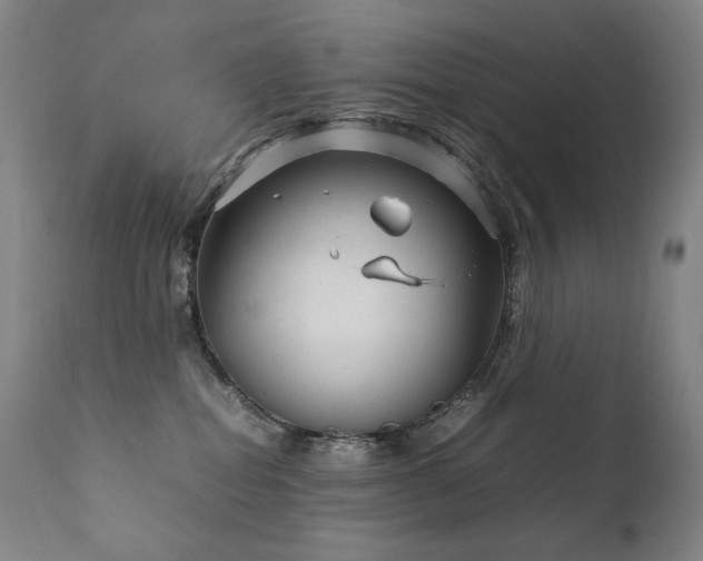 X0000111230282200907021406