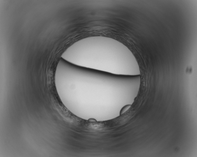 X0000111230283200907021406