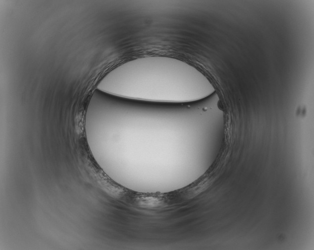 X0000111230285200907021406