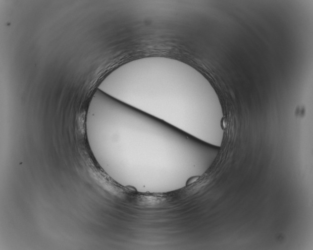 X0000111230286200907021406