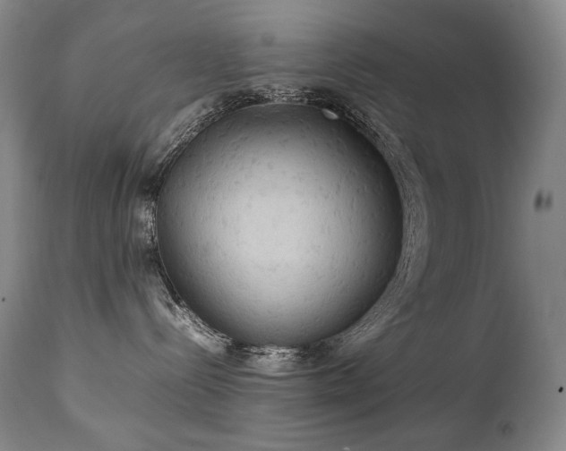 X0000111230288200907021406