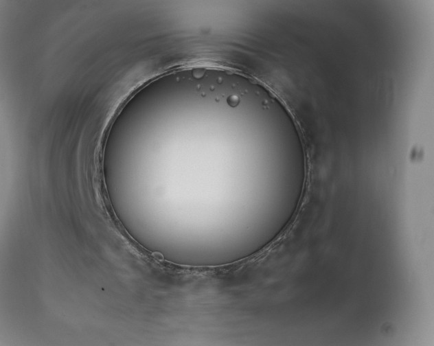 X0000111230289200907021405