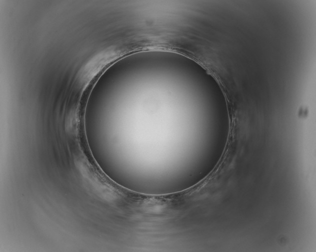 X0000111230290200907021405