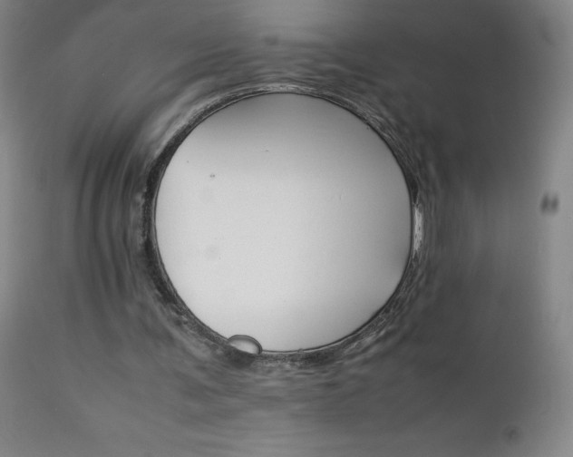 X0000111230291200907021405