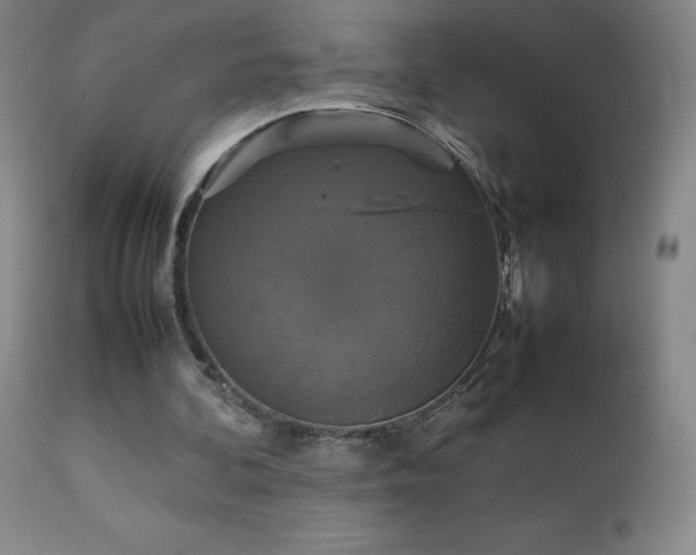 X0000111230292200907021405