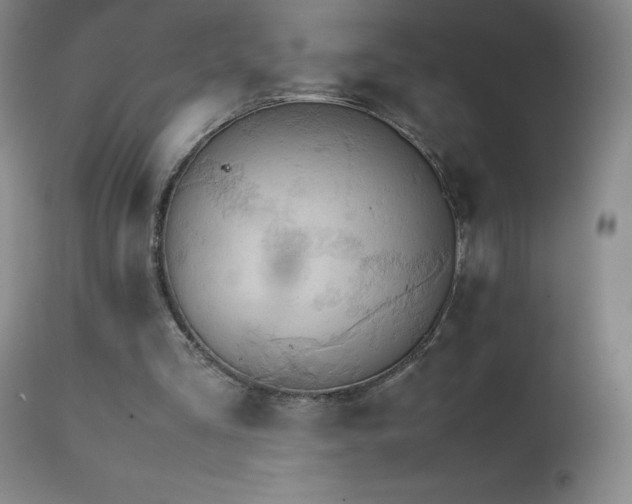 X0000111230293200907021405