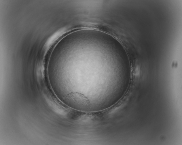 X0000111230294200907021405