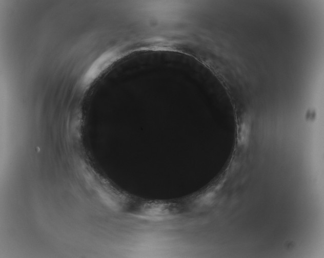 X0000111230295200907021405