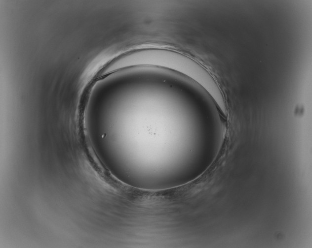 X0000111230296200907021405