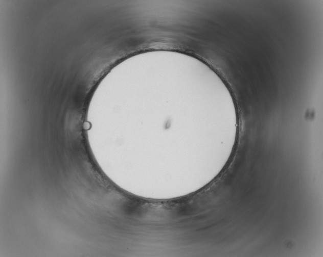 X0000111230297200907021405