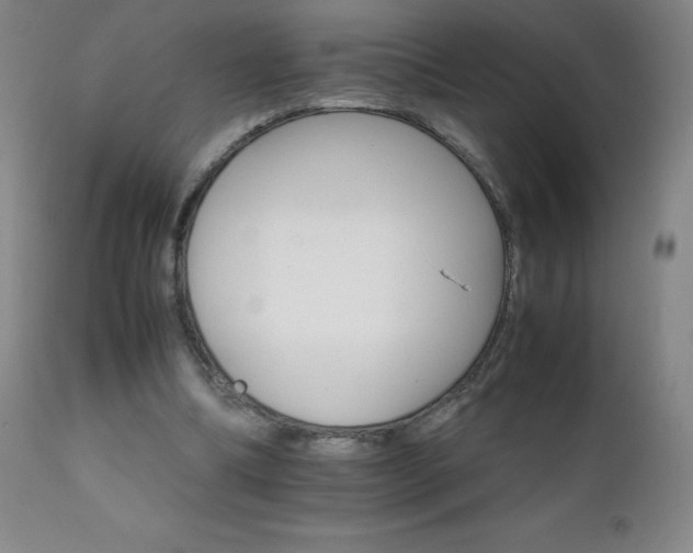 X0000111230298200907021405