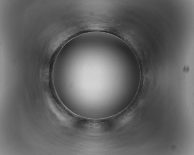 X0000111230299200907021405