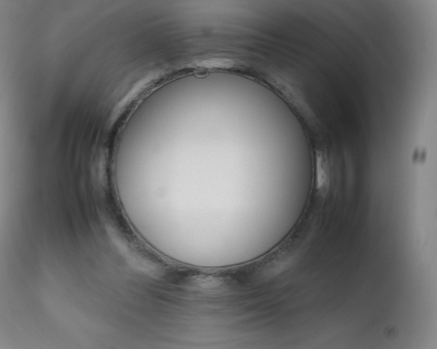 X0000111230300200907021405