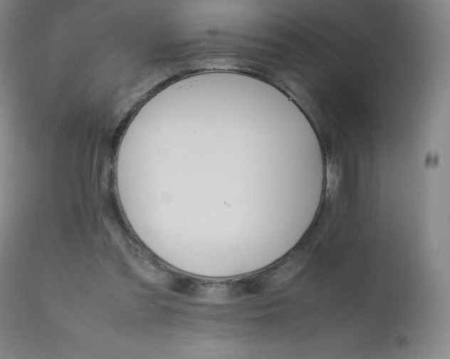 X0000111230301200907021405