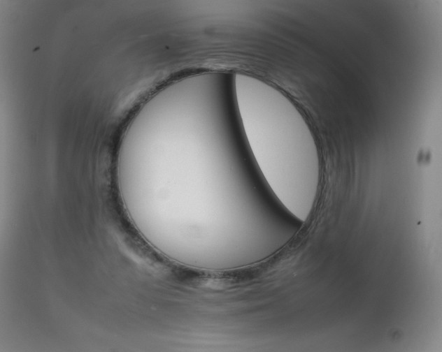 X0000111230303200907021405